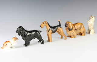 A Royal Doulton figure of a Pekinese dog HN1012 8cm,  ditto kitten HN2583 4cm, terrier HN2589 10cm, black cocker spaniel HN1021 9cm and an Airedale terrier HN1024 10cm 