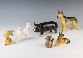 A Beswick figure of a Tamworth pig 18cm, a matt Alsatian 14cm, a white standard poodle 9cm, a reclining Alsatian 6cm, a rabbit 7cm and a koala 6cm