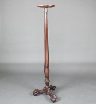 A 19th Century turned and reeded mahogany torchere raised on ball and claw supports 151cm x 26cm diam. 