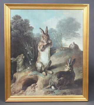 After Alexander Francisco Desportes a coloured print, study of rabbits, 60cm x 50cm 