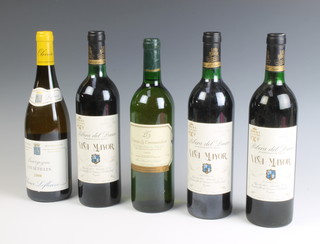 Three bottles of 1991 Ribera Del Duero Vina Mayor, a white wine bottle of 1994 Chateau La Commanderie Entre-Deux Mers and ditto bottle of 2008 Grand Vin de Bourgogne Les Setilles    
