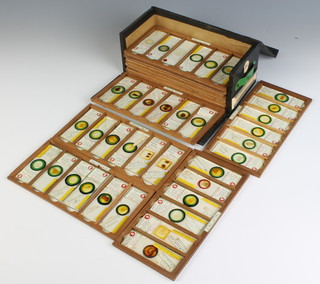 Eighty two 19th/20th Century botanical slides contained in a rectangular box, the lid interior marked Polariscope Raphides  