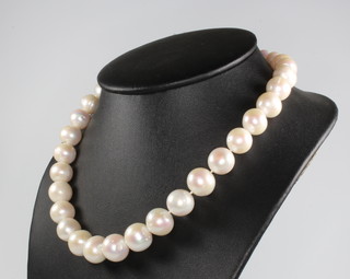 A string of cultured pearls with a 9ct white gold gold clasp 44cm 