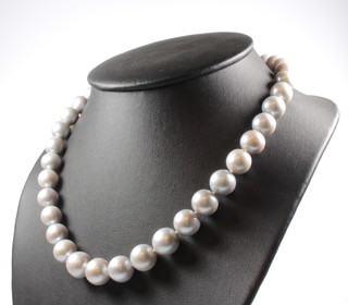 A string of grey cultured pearls with a 9ct yellow gold clasp, 44cm 