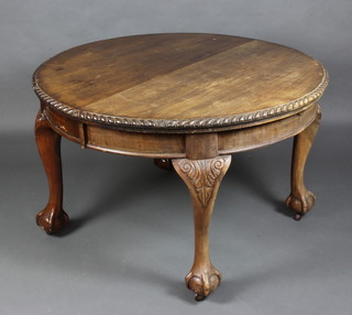 A Chippendale style oval extending dining table with 2 extra leaves, with gadrooned border raised on cabriole ball and claw supports 75cm h x 121cm w x 118cm l x 233 when extended, complete with winder 