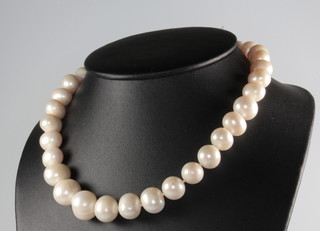 A string of cultured pearls with a silver magnetic clasp 43cm 