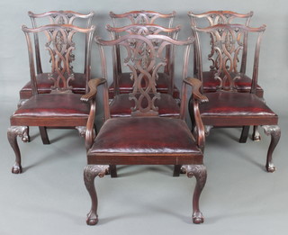 A set of 7 19th Century Irish Chippendale dining chairs with vase shaped slat backs and upholstered drop in seats, raised on cabriole supports - 1 carver, 6 standard