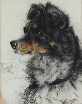 E D, charcoal and pastel study of a dog with sheep in the distance 30cm x 24cm 