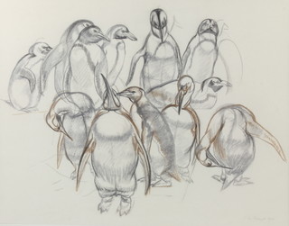 J.De Naiyer, pencil study of standing penguins, signed and dated 1936, 36cm x 46cm 