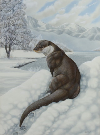 Richard W Orr, gouache, study of an otter in snowy landscape 54cm x 40cm 