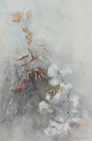 Joan Baker, watercolour drawing "Wild Clematis" 49cm x 32cm, the reverse with Mall Gallery label 