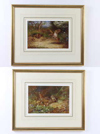 Archibald Thorburn (1860-1935), a pair of limited edition coloured prints, seated snipe and grouse by William Marler, 20cm x 29cm 