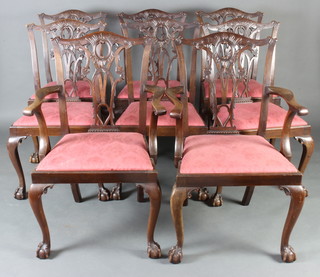 A set of 8 Chippendale style slat back dining chairs with upholstered drop in seats raised on cabriole, ball and claw supports 