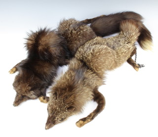 Two silver fox furs 