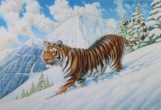 Richard W Orr, print, signed in pencil by the artist, 1 of 850, tiger in a snowy landscape 44cm x 62cm 