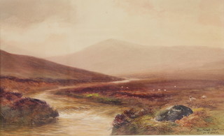 W H Dyer, watercolour, signed, inscribed "Torr Marsh, Dartmoor" 21cm x 34cm 