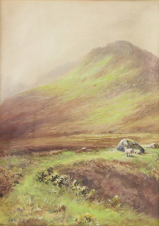 W H Dyer, watercolour, "In Tavy Gorge Dartmoor" 34cm x 25cm 
