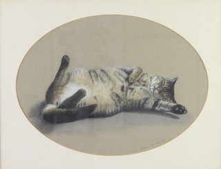 Susan M Geere, pastel study of a cat, oval, 27cm x 38cm 