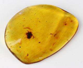 A piece of natural yellow amber enclosing an insect 41 grams 90mm x 70mm 