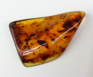 A piece of natural amber containing an insect 43 grams, 95mm x 60mm 