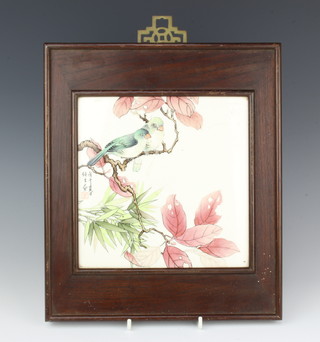A 20th Century Chinese painted porcelain panel with birds amongst branches, signed, contained in a hardwood frame 19.5cm x 19.5cm 