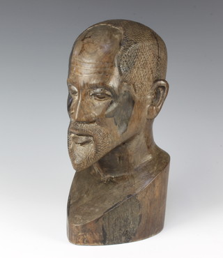 A carved African ironwood portrait bust of a gentleman 27cm x 13cm 