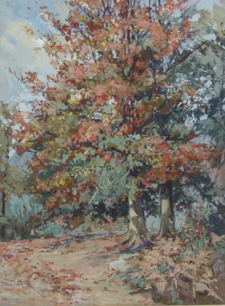 Janet Simpson, watercolour signed, an Autumn woodland scene 36cm x 27cm 