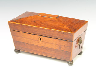 A 19th Century rosewood tea caddy of sarcophagus form with lion mask handles, raised on bun feet 15cm x 29cm x 15cm (interior missing and replaced with fabric) 