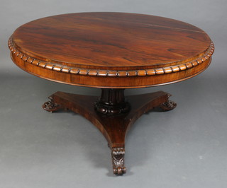 A William IV circular rosewood snap top dining table raised on carved column and triform base 172cm h x  129cm diam. 