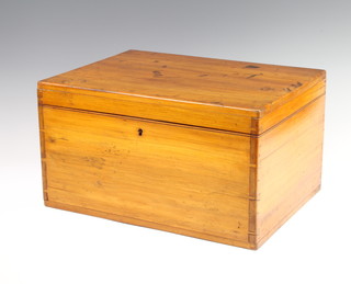 A 19th Century camphor box with hinged lid 22cm x 41cm x 30cm 