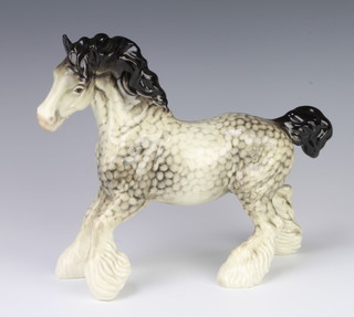 A Beswick figure of a cantering shire H975 in rocking horse grey by Arthur Gredington 22.2cm 
