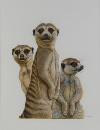 Richard W Orr, gouache and mixed media study of meerkats, signed in pencil 40cm x 30cm 