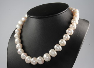 A string of cultured pearls with 9ct white gold ball clasp, 44.5cm 