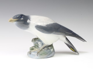 A Royal Copenhagen figure of a hooded crow with frog standing on a rock, no.365, 34cm 