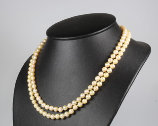 A two row cultured pearl necklace with a 9ct yellow gold pearl clasp 45cm 