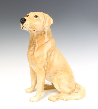 A Beswick fireside figure of a Labrador no.2314 33cm 