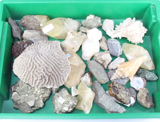 A collection of geological samples 