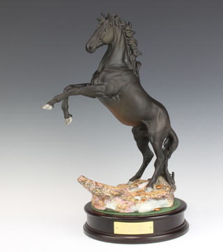 A Beswick figure - Cancara "The Black Horse" no.3426 by Graham Tongue, black matt, raised on a wooden plinth 41.9cm 