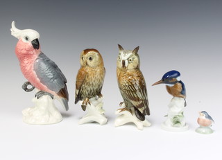 A Beswick figure cockatoo 1180 21cm and 4 other porcelain figures of birds