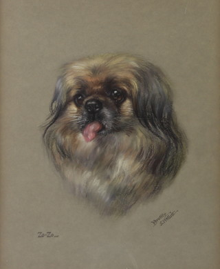 Dorothy S Hallett, pastel, signed, study of Zo-Zo a Pekinese 42cm x 31cm 