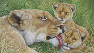 Richard W Orr, acrylic signed, study of a lioness and lion cubs 21cm x 37cm 