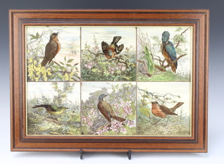 A set of 6 Minton style decorative tiles depicting birds, framed as 1, 30cm x 45cm 