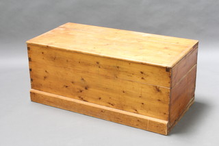 A 19th Century pine trunk with hinged lid 47cm h x 113cm w x 54cm d 