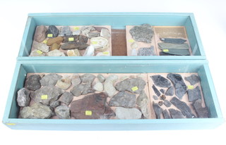 Two shallow display trays containing fossils and geological samples 