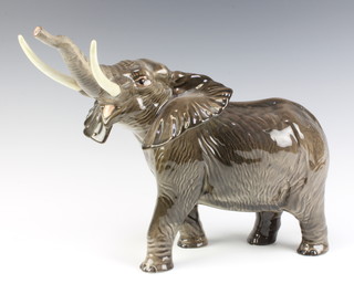 A Beswick figure of an elephant with trunk stretching, large, no. 998 by Arthur Greddington 26cm, gloss finish 
