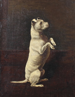 Arthur Batt '06, (1846-1911), oil on board signed, study of a dog sitting on its haunches 21cm x 17cm  