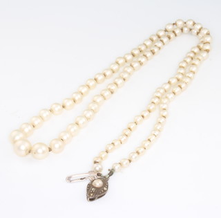 A string of cultured graduated pearls with a silver clasp 50cm, boxed