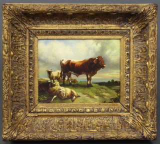 A reproduction oil painting on board, study of a standing bull with sheep, 19cm x 24cm contained in a decorative gilt frame 