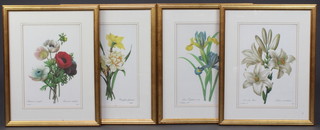 After P J Renouiter, a set of 4 botanical prints 33cm x 23cm, contained in gilt frames 
