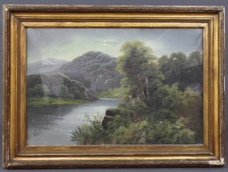 A Victorian oil painting on canvas, study of a mountain river 49cm x 54cm contained in a gilt frame